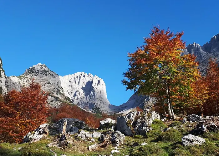 Apartment Haus Strobler
