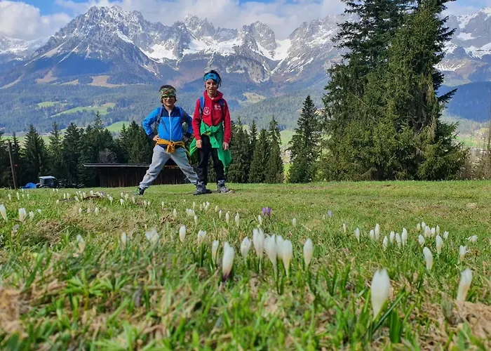 Apartment Haus Strobler Going am Wilden Kaiser